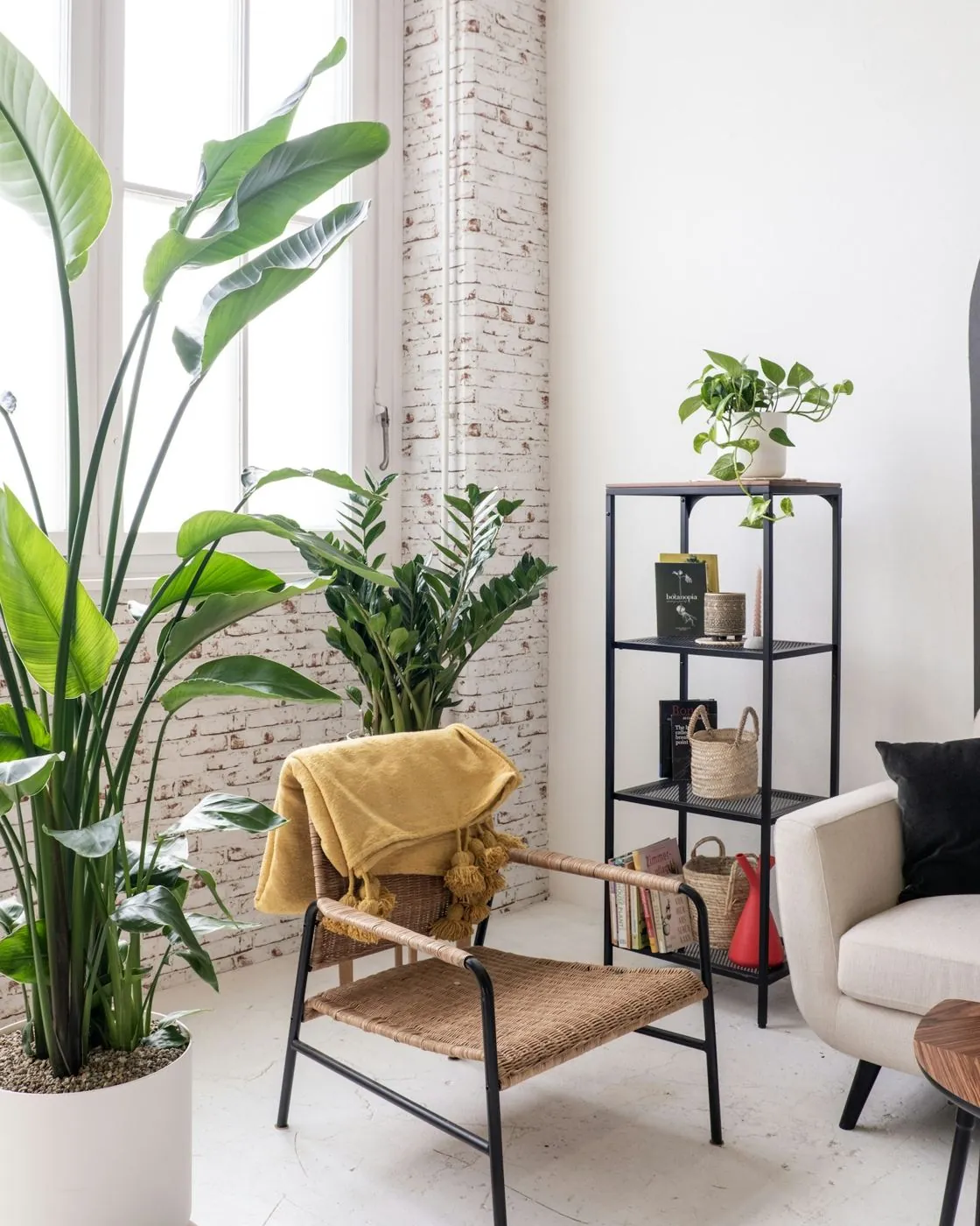 Bright room with plants and a chair with a yellow blanket